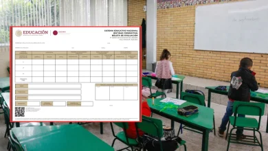 ¿Cuándo y cómo descargar la boleta escolar en PDF? (Fotos de internet)