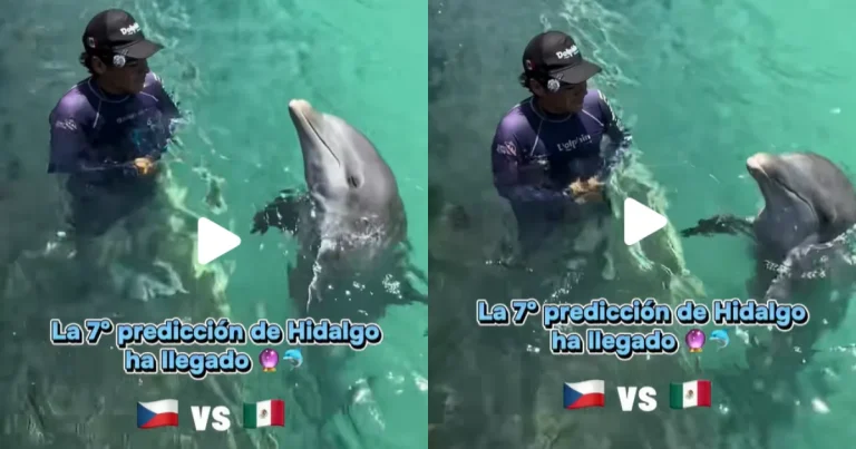 México vs Chequia: Delfín Hidalgo predice marcador del partido (Fotos de internet)