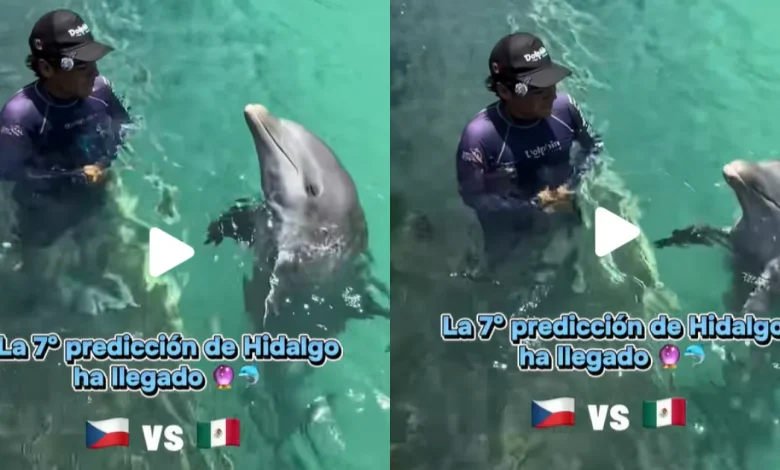 México vs Chequia: Delfín Hidalgo predice marcador del partido (Fotos de internet)