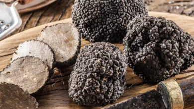 Platillos que resaltan el sabor de la trufa (Foto de internet)