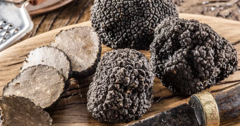 Platillos que resaltan el sabor de la trufa (Foto de internet)