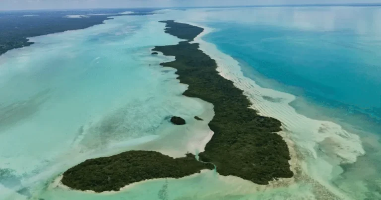 isla tamalcab, el tesoro escondido del caribe mexicano en el sur de quintana roo
