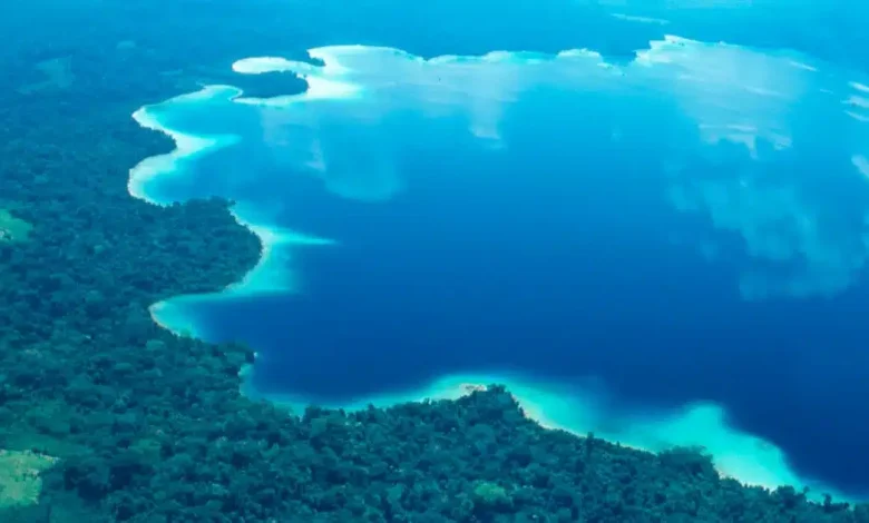 laguna miramar, el tesoro natural escondido en el corazón de la selva lacandona