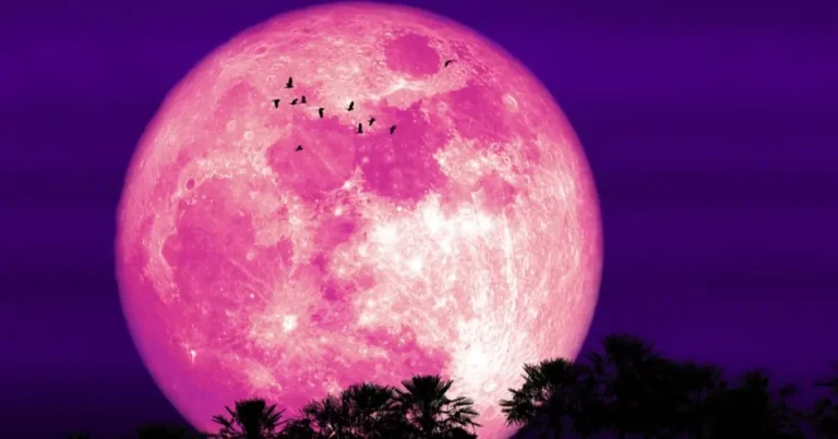 luna de fresa iluminará el cielo de méxico este 29 de junio