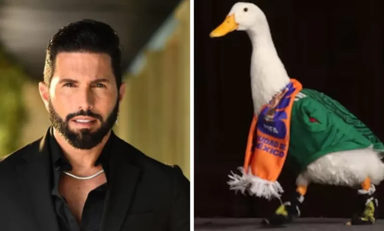poncho de nigris ofrece hasta 800 mil pesos por el pato merlín y desata debate en redes