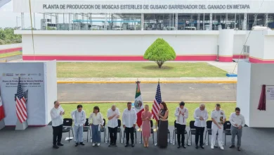 Claudia Sheinbaum inaugura planta de producción de moscas estériles del gusano barrenador del ganado en Metapa de Domínguez, Chiapas 