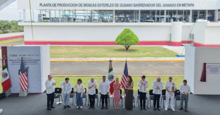 Claudia Sheinbaum inaugura planta de producción de moscas estériles del gusano barrenador del ganado en Metapa de Domínguez, Chiapas 