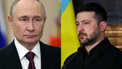 putin y zelensky buscan respaldo de trump para impulsar negociaciones sobre la guerra en ucrania