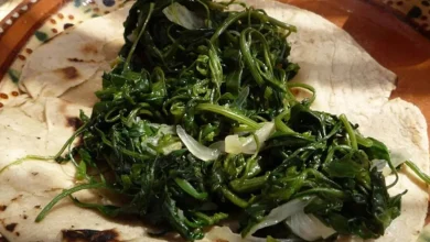 quelites en puebla tradición, nutrición y cultura viva en la temporada de cosecha