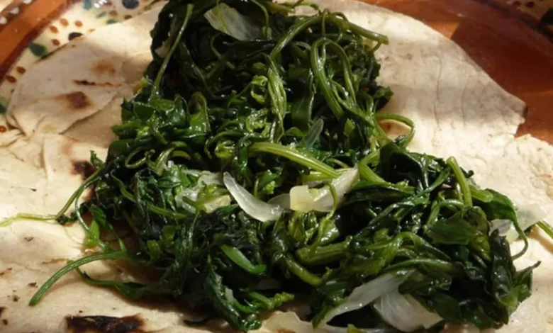 quelites en puebla tradición, nutrición y cultura viva en la temporada de cosecha