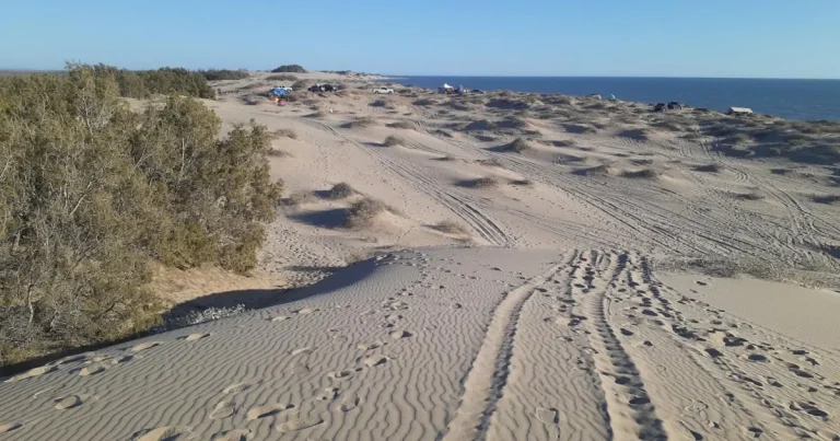 sahuimaro, el tesoro escondido de sonora donde el desierto se encuentra con el mar