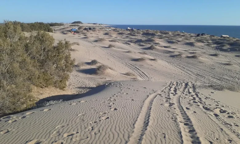 sahuimaro, el tesoro escondido de sonora donde el desierto se encuentra con el mar