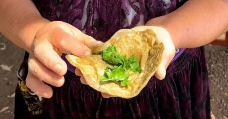 taco de bistec purépecha el platillo michoacano que conquista sin llevar carne
