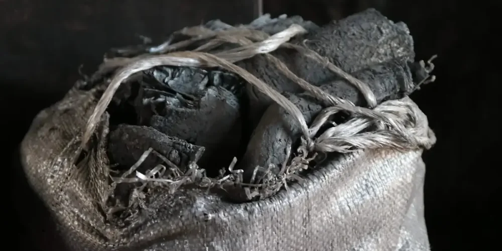 aseguran tráiler con 20 toneladas de carbón en hopelchén