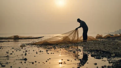 pescadores de ciudad del carmen enfrentan crisis por bajas capturas y altos costos de operación