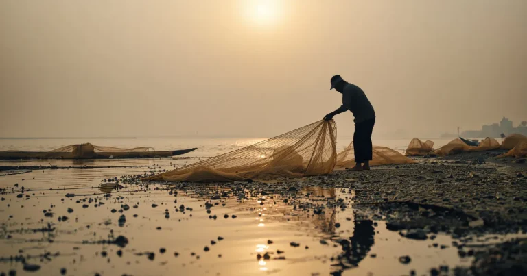 pescadores de ciudad del carmen enfrentan crisis por bajas capturas y altos costos de operación