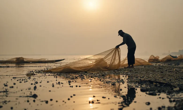 pescadores de ciudad del carmen enfrentan crisis por bajas capturas y altos costos de operación