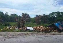 vuelca tráiler con cajas de cerveza en champotón campeche