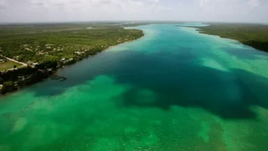 Laguna Guerrero, el tesoro escondido del Caribe mexicano que conquista con naturaleza e historia