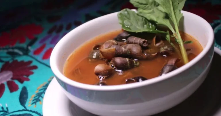 caldo de shuti el platillo ancestral de chiapas preparado con caracoles de agua dulce