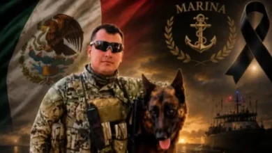 capitán de marina muere al proteger a madres buscadoras durante ataque con explosivos en mazatlán