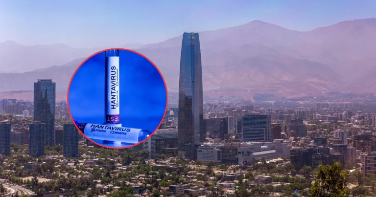 chile declara alerta sanitaria preventiva por hantavirus