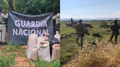 El Gabinete de Seguridad del Gobierno de México informa acciones relevantes del 1 de julio de 2026 (Foto de cortesía)
