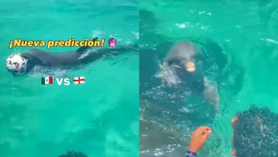 Predicción de México vs Inglaterra ilusiona a la afición (Foto de internet)