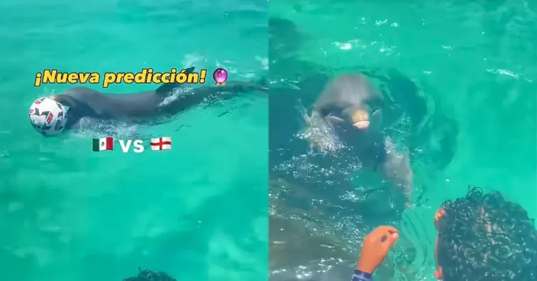 Predicción de México vs Inglaterra ilusiona a la afición (Foto de internet)