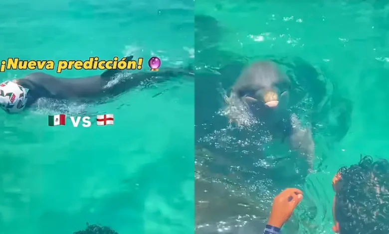 Predicción de México vs Inglaterra ilusiona a la afición (Foto de internet)