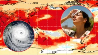Fenómeno "El Niño" se intensificará entre julio y septiembre de 2026 (Fotos de internet)