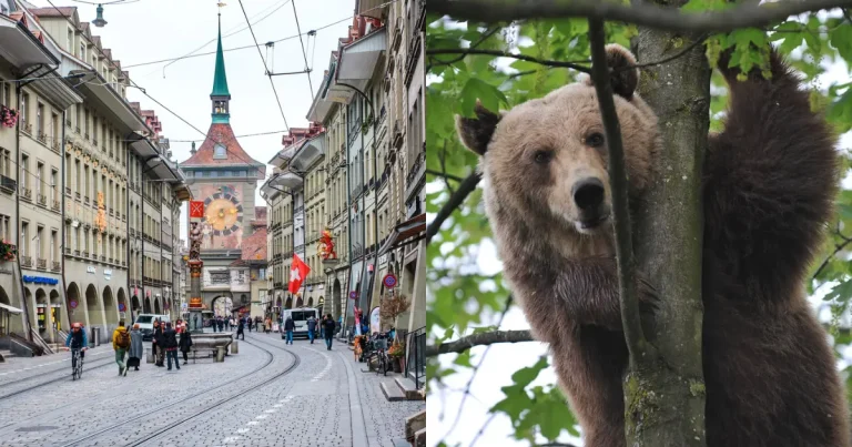 3 atractivos imperdibles de Berna, Suiza (Fotos de internet)