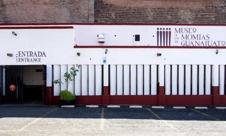 Momias de Guanajuato: una experiencia enigmática (Foto de internet)