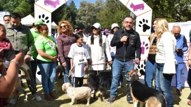 extiende mercado programa de bienestar animal