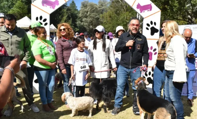 extiende mercado programa de bienestar animal