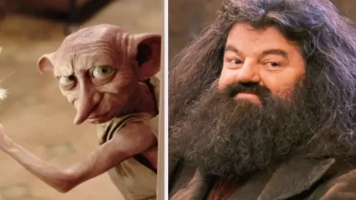 harry potter ampliará su universo con dos nuevos libros dedicados a hagrid y dobby