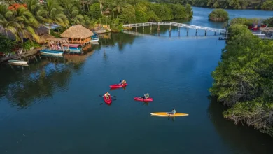 laguna de mandinga el destino de veracruz para disfrutar ostiones frescos y paseos entre manglares