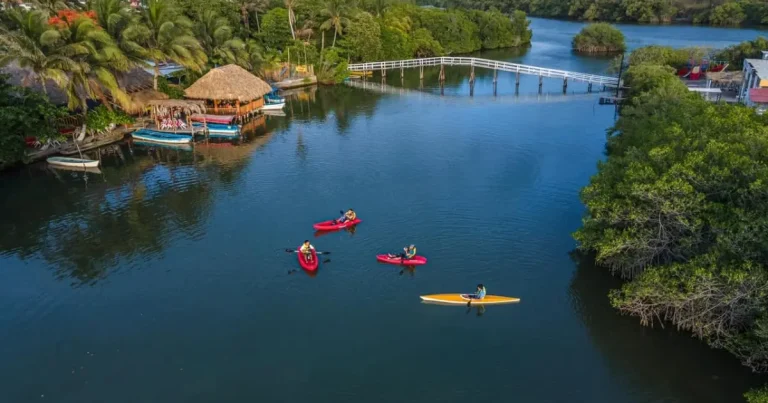 laguna de mandinga el destino de veracruz para disfrutar ostiones frescos y paseos entre manglares