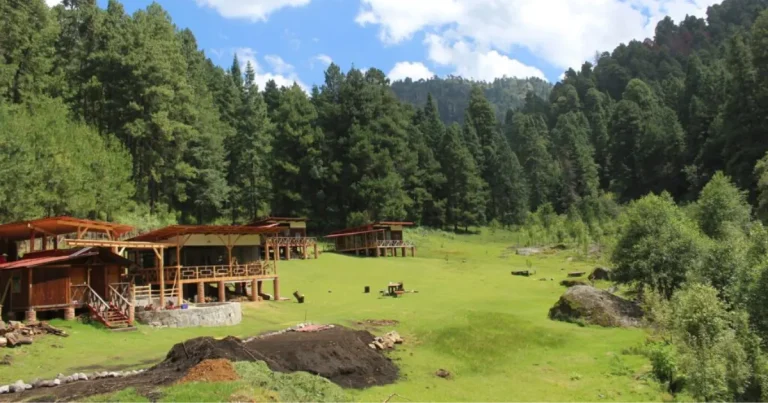 maatawi, el santuario de luciérnagas que preserva la cultura del último pueblo matlatzinca