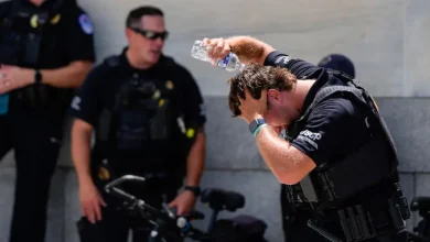nueva york iguala récord de temperatura con 38 °c durante intensa ola de calor