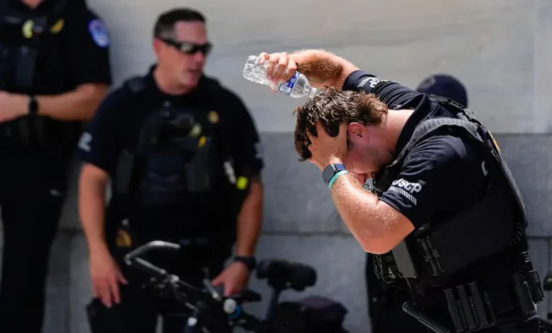 nueva york iguala récord de temperatura con 38 °c durante intensa ola de calor