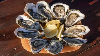 ostiones ahumados al tapesco el platillo tradicional que conquista la gastronomía de tabasco
