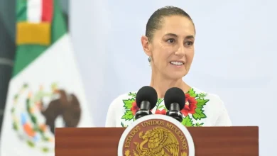 plan tulum renace parque del jaguar será gratis y bajan tarifas de acceso