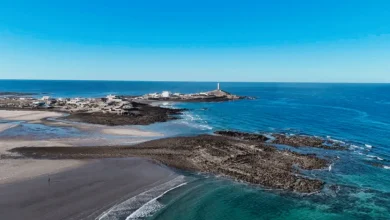 puerto lobos, el destino de sonora donde el desierto se encuentra con el mar