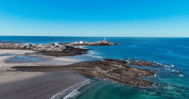 puerto lobos, el destino de sonora donde el desierto se encuentra con el mar