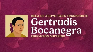 beca gertrudis bocanegra llegará a campeche en ciclo 2026 2027