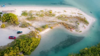campeche semarnat frena dudas sobre venta de san nicolasito