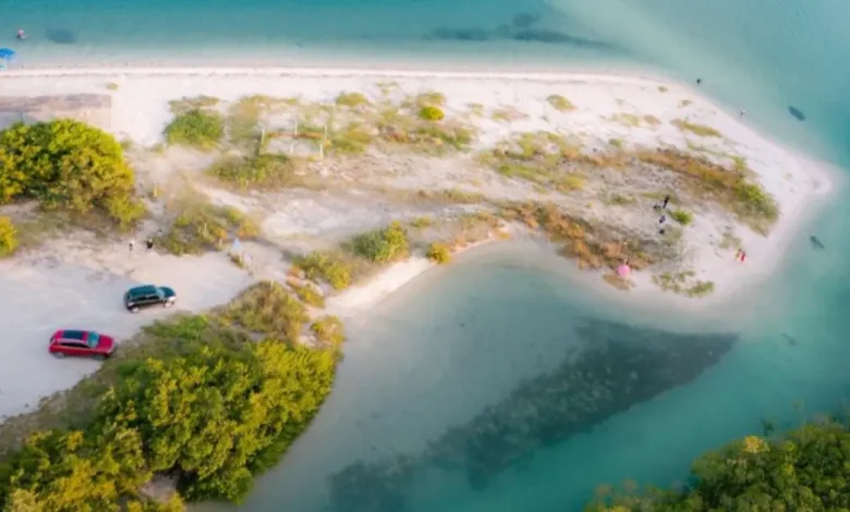 campeche semarnat frena dudas sobre venta de san nicolasito