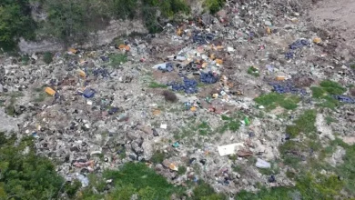 campeche investiga basurero clandestino en cementerio