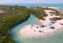 campeche protegerá manglares de laguna de términos con nuevo acuerdo ambiental